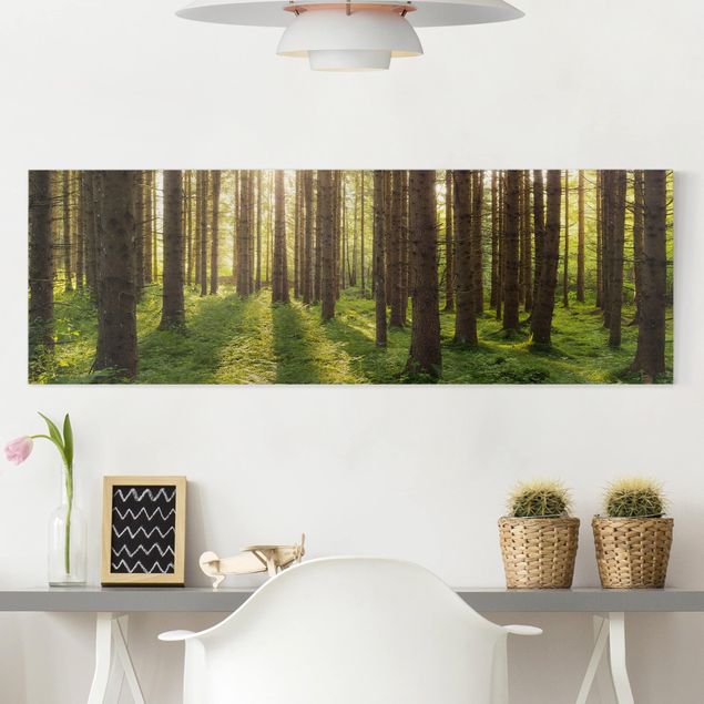 Wandbilder XXL Sonnenstrahlen in grünem Wald