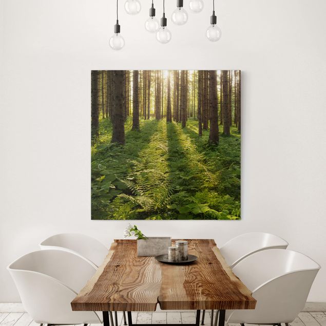 Wandbilder Natur Sonnenstrahlen in grünem Wald