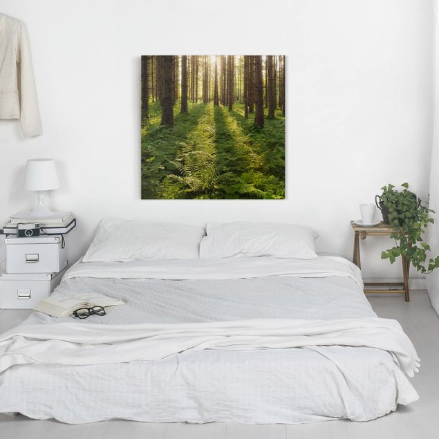 Wandbilder Wald Sonnenstrahlen in grünem Wald