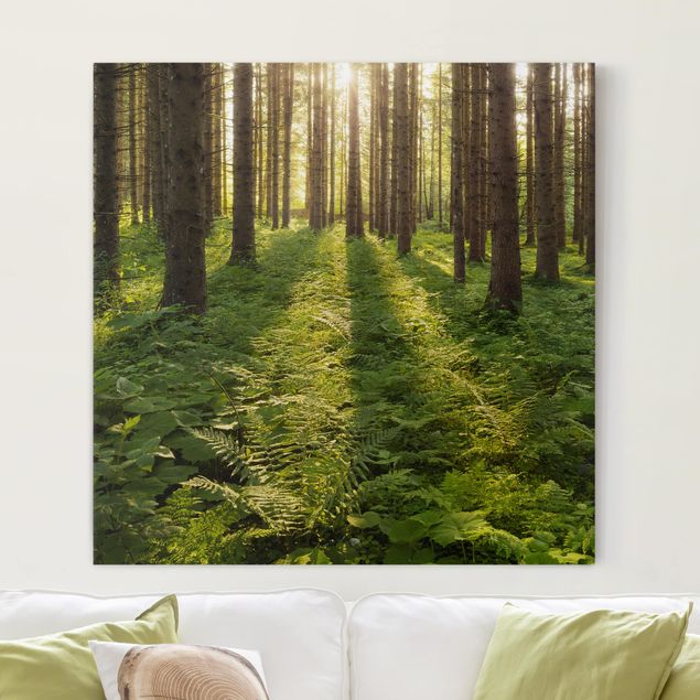 Wandbilder XXL Sonnenstrahlen in grünem Wald