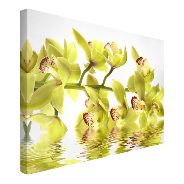 Moderne Leinwandbilder Wohnzimmer Splendid Orchid Waters