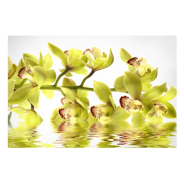 Bilder für die Wand Splendid Orchid Waters