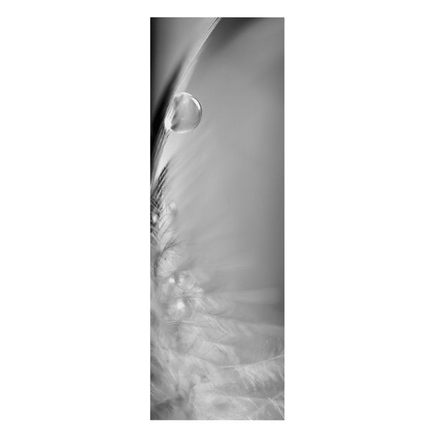 Leinwandbilder Story of a Waterdrop Black White
