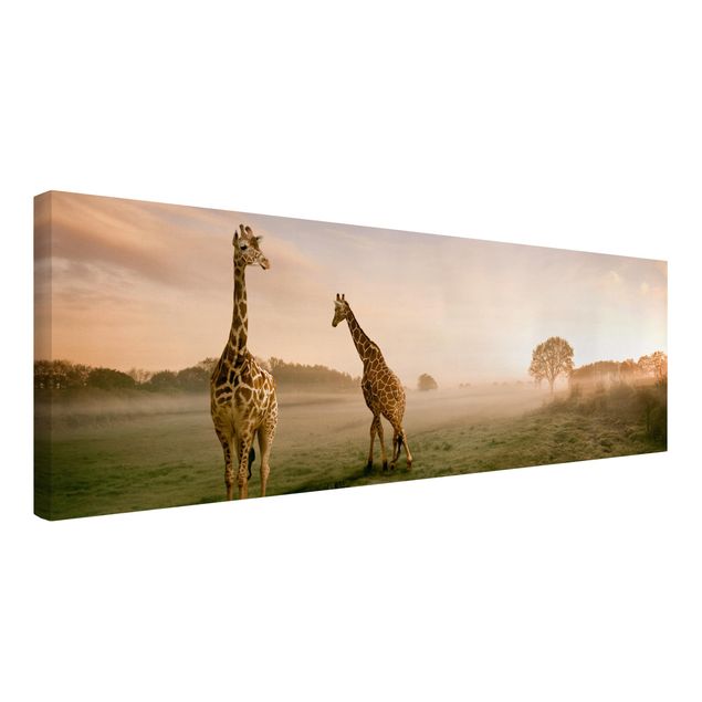 Leinwandbilder Natur Surreal Giraffes