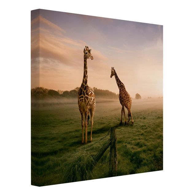 Leinwandbilder Landschaft Surreal Giraffes