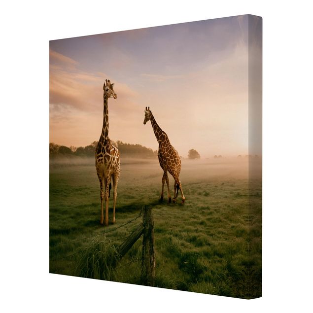 Moderne Leinwandbilder Wohnzimmer Surreal Giraffes