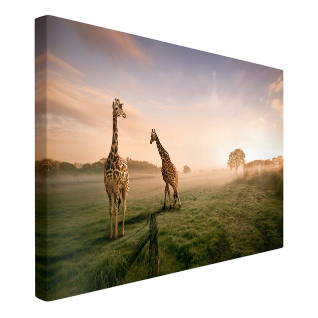 Wandbilder Natur Surreal Giraffes