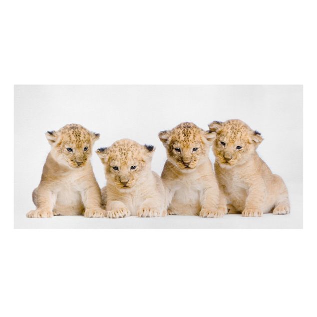 Leinwandbilder Wohnzimmer modern Sweet Lion Babys