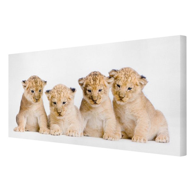 Schöne Wandbilder Sweet Lion Babys