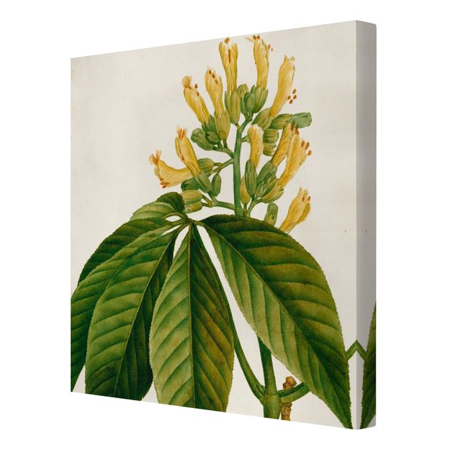 Bilder auf Leinwand Tableau Blatt Blüte Frucht VI