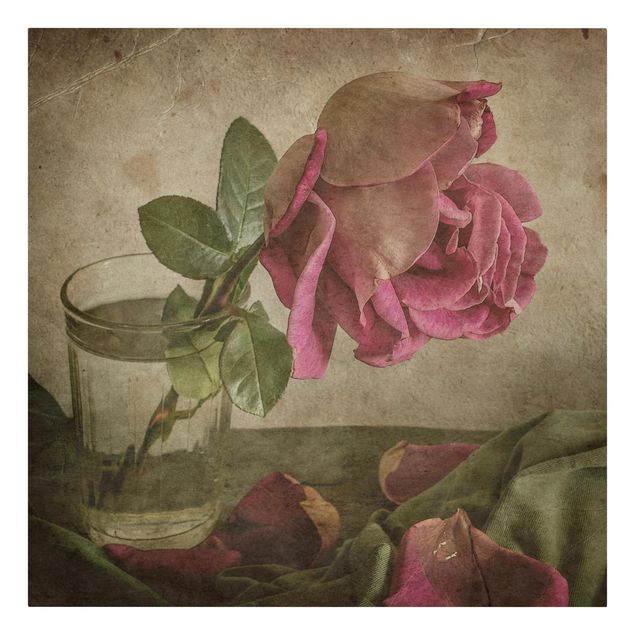 Leinwandbild Vintage Tear of a Rose