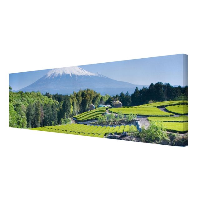 Bilder für die Wand Teefelder vor dem Fuji