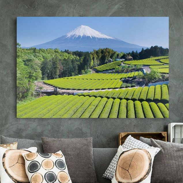 Leinwand Bilder XXL Teefelder vor dem Fuji