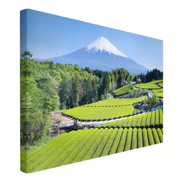 Wandbilder Baum Teefelder vor dem Fuji