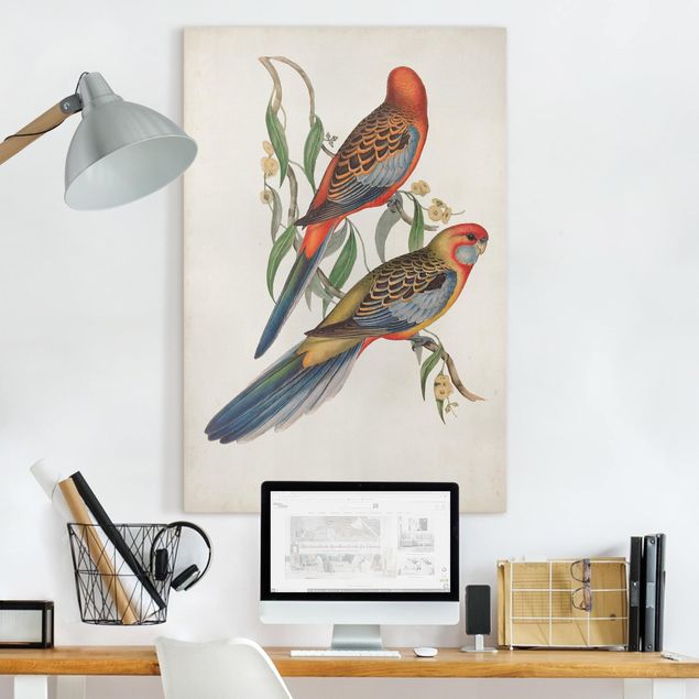 Wandbilder Vögel Tropische Papageien II