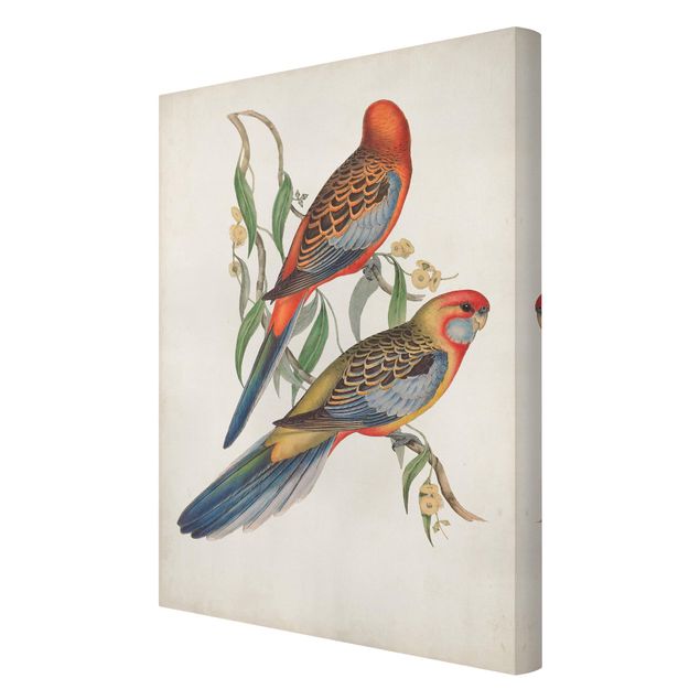Leinwandbild Vintage Tropische Papageien II