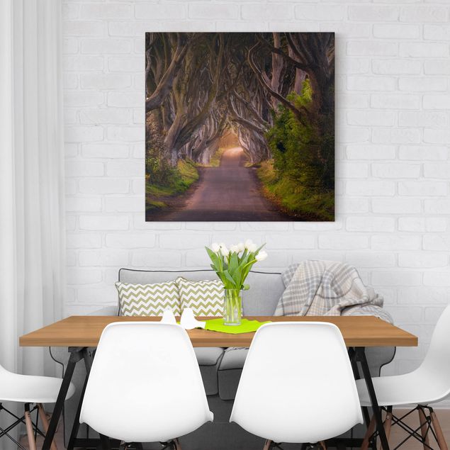 Leinwandbilder Wald Tunnel aus Bäumen