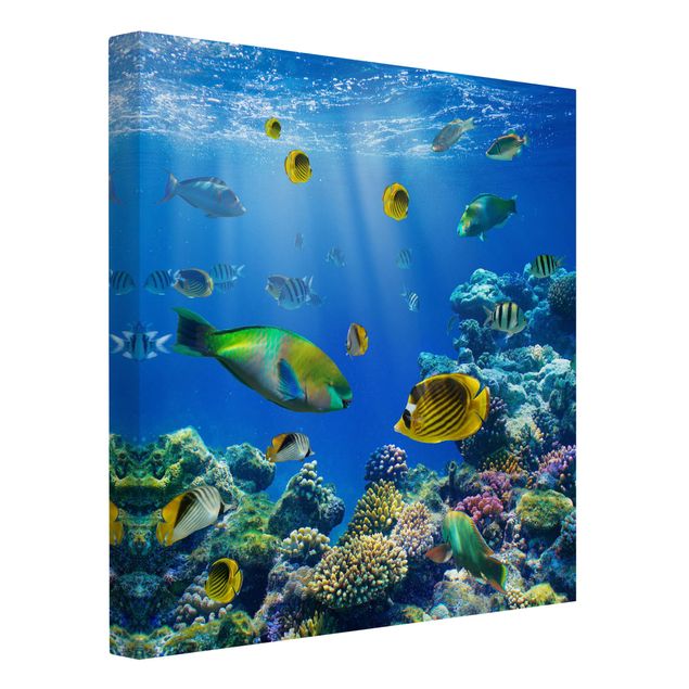 Wandbilder Tiere Underwater Lights