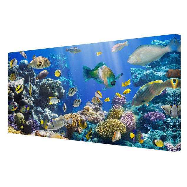 Wandbilder Underwater Reef