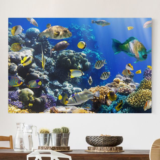 Leinwandbilder XXL Underwater Reef