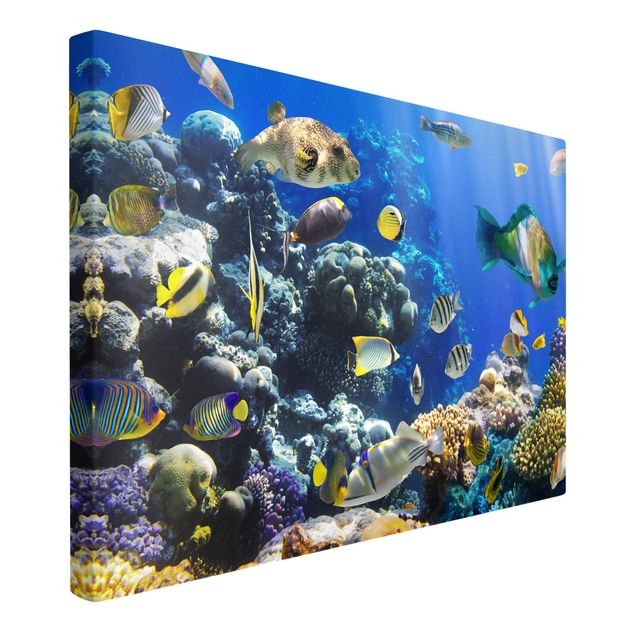 Leinwandbilder Natur Underwater Reef