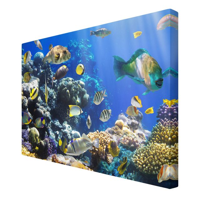 Leinwandbilder Tier Underwater Reef