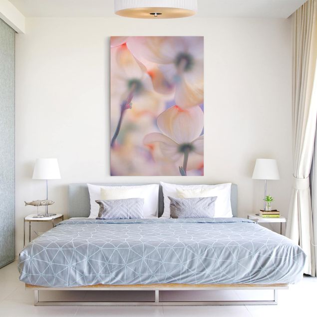 Moderne Leinwandbilder Wohnzimmer Unter Blüten