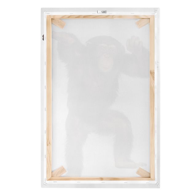 Bilder auf Leinwand Vergnügter Affe