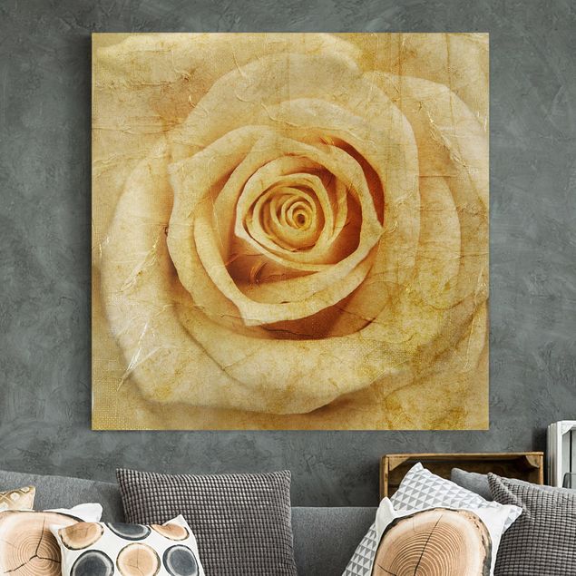Wandbilder XXL Vintage Rose