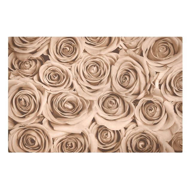 Wandbilder Vintage Rosen