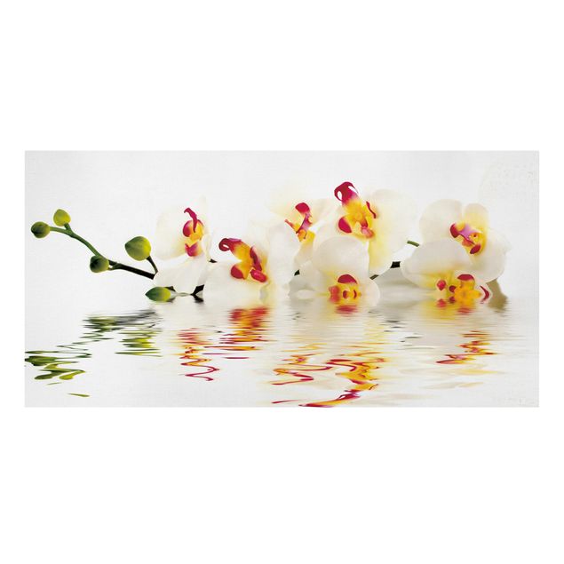 Wandbilder Vivid Orchid Waters