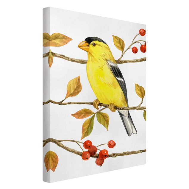 Leinwand Kunstdruck Vögel und Beeren - Goldzeisig