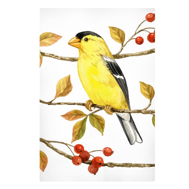 Leinwandbilder Tier Vögel und Beeren - Goldzeisig