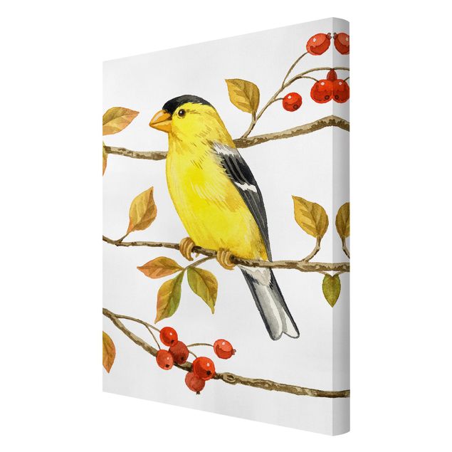 Schöne Wandbilder Vögel und Beeren - Goldzeisig