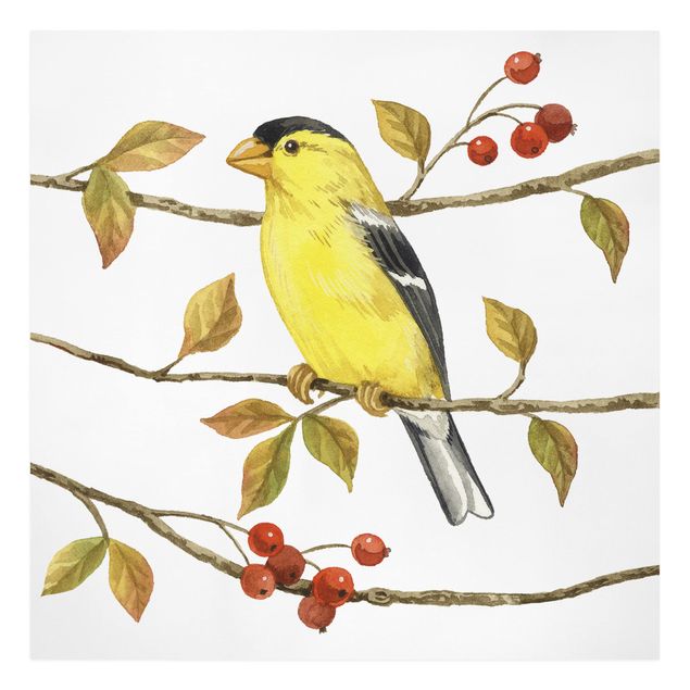 Retro Wandbilder Vögel und Beeren - Goldzeisig