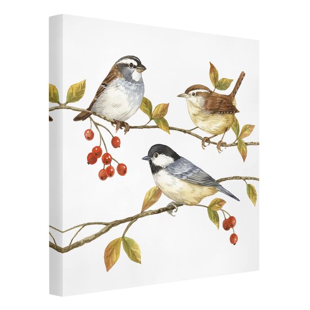 Kunstdrucke auf Leinwand Vögel und Beeren - Meisen