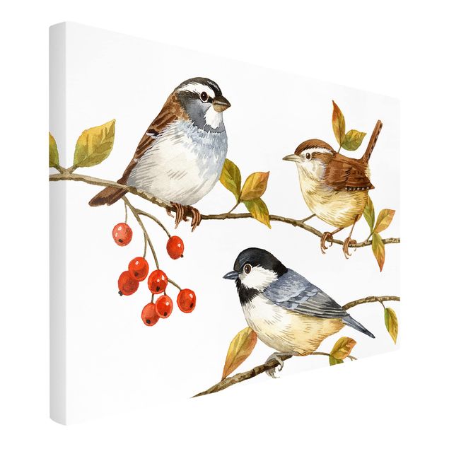 Kunstdrucke auf Leinwand Vögel und Beeren - Meisen