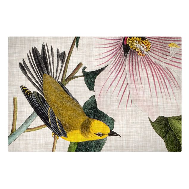 Wandbilder Vintage Vogel auf Leinen Gelb I