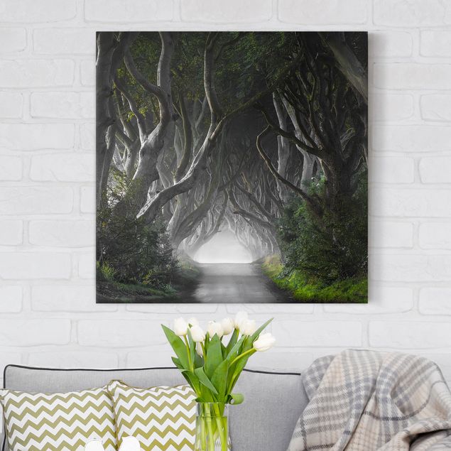 Wandbilder XXL Wald in Nordirland