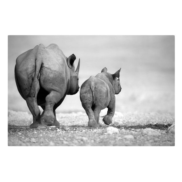 Wandbilder Wandering Rhinos II