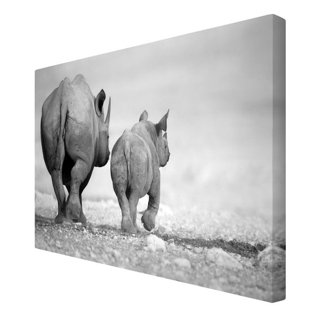 Leinwandbilder Wandering Rhinos II