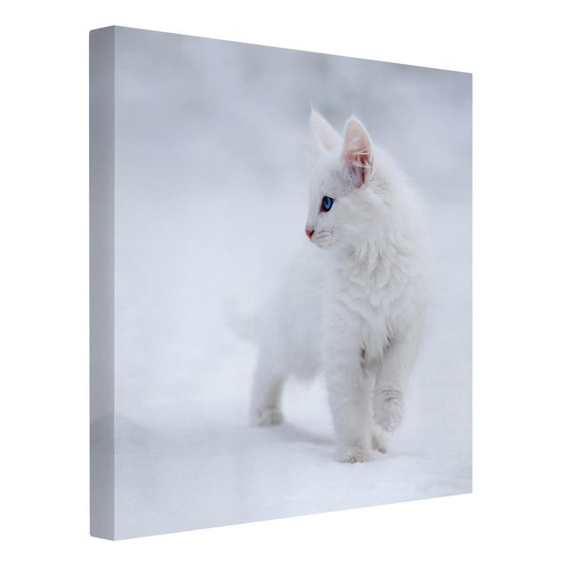 Tierbilder auf Leinwand Weiß wie Schnee