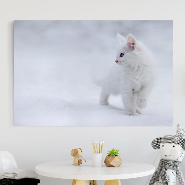 Leinwandbilder Katzen Weiß wie Schnee
