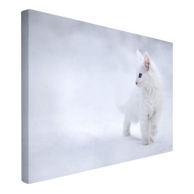 Leinwandbilder Tier Weiß wie Schnee