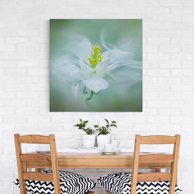 Leinwandbilder Blumen Weiße Akelei