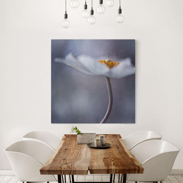 Moderne Leinwandbilder Wohnzimmer Weiße Anemonenblüte