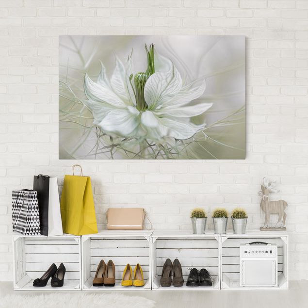 Wandbilder Wohnzimmer modern Weiße Nigella
