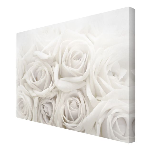 Leinwandbilder Weiße Rosen