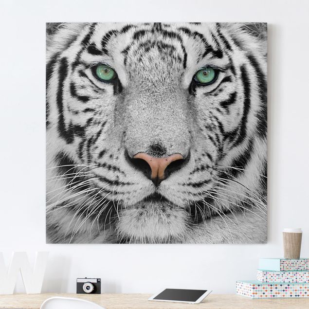 Leinwandbilder XXL Weißer Tiger