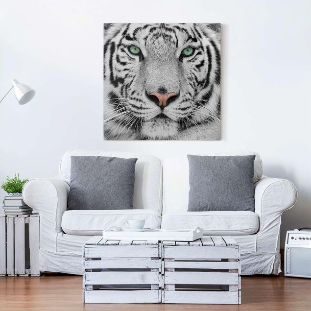 Löwen Leinwand Weißer Tiger